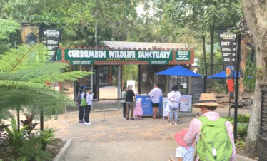 Currumbin-entrance